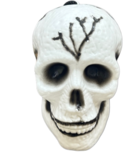 Picfest Halloween Skull
